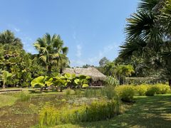 -中国科学院西双版纳热带植物园