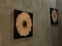 -ELEVEN COFFEE(哈西万达广场店)