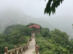 -大岭沟猕猴桃谷风景区