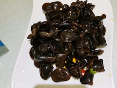 养生小木耳-骏莱海鲜鱼港(五角场店)