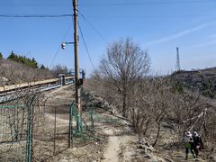 -白水寺森林公园