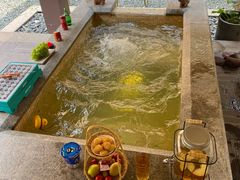 -春晖园度假酒店温泉