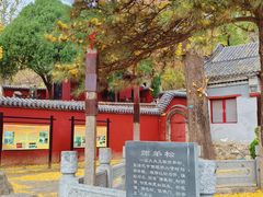 -泰山风景名胜区-普照寺