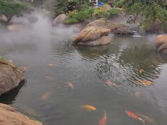 -罗红摄影艺术馆