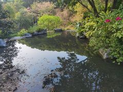 -云溪植物园