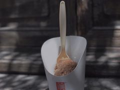 -真真老老(月河花鸟市场店)