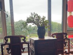 -慢丽江·云南野生菌土鸡锅(付家庄店)