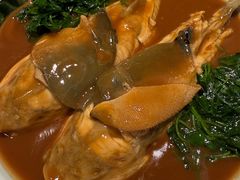 -沈灶河豚宴·河豚融合餐厅(汉中路店)