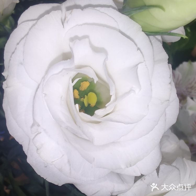 每个月的最后1小时