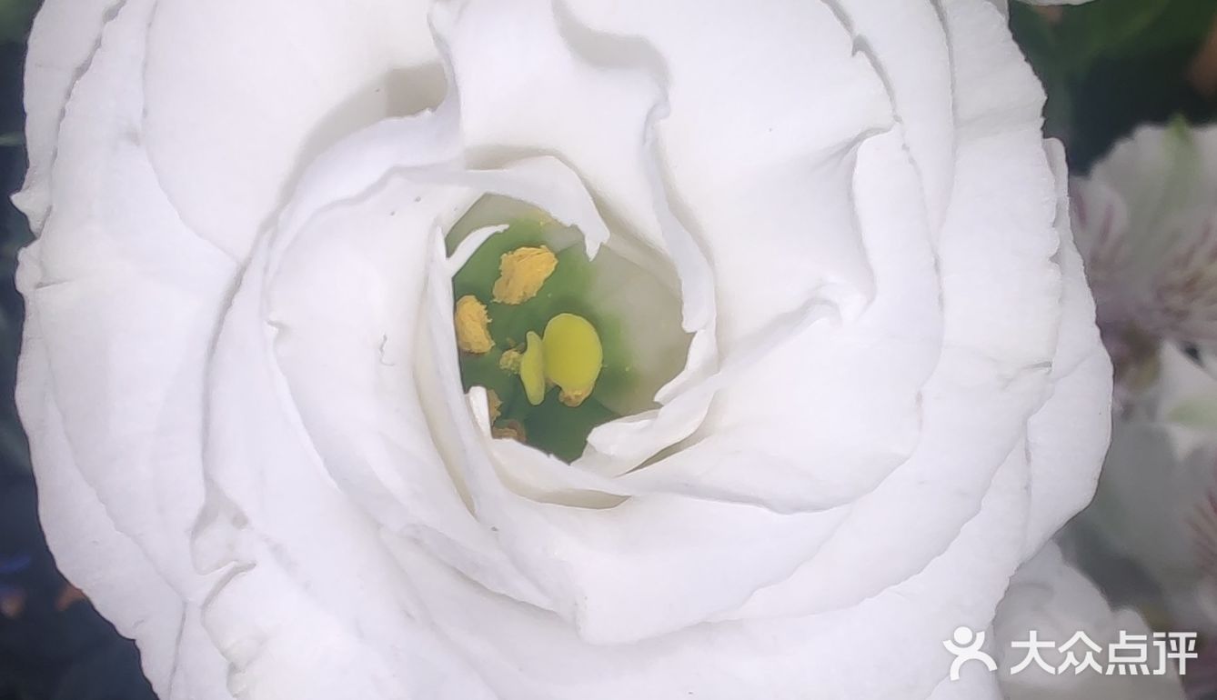 每个月的最后1小时