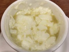 姜汁撞奶-正德顺順德雙皮奶(中信店)