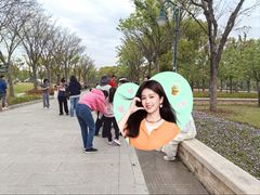 -新江湾城公园