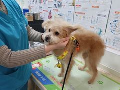 -芭比堂动物医院(广州爱宠下渡路分院)