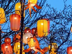 -龙湖星悦荟(颐和店)