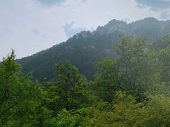 景点-竹子庵公园
