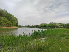 -大兴滨河森林公园