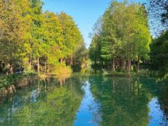 -西溪国家湿地公园