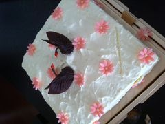-BLACKSWAN黑天鹅(环球店)
