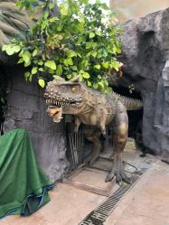 -宝燕乐园(闵行旗舰店)