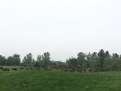 -南通洲际绿博园