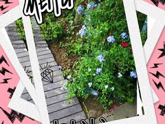 -三圣里·中餐宴请·自助烤肉·烤全羊·柴火鸡(旗舰店)