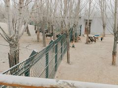 -天津市动物园