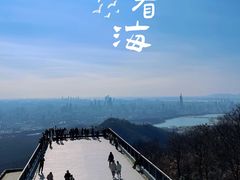 -紫金山山顶公园
