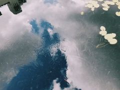 -苏州河梦清园环保主题公园