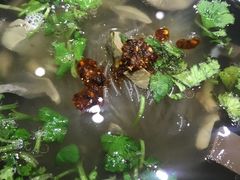 -百年尹氏汤包(湖南路狮子桥店)