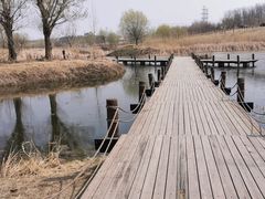 -马家湾湿地公园