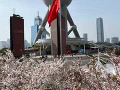 -东方明珠广播电视塔