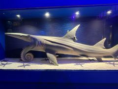 -皇家极地海洋世界-售票处