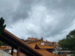 -深圳仙湖植物园
