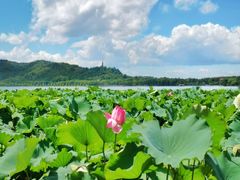 -星巴克(西湖天地店)