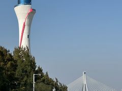 -北海金海湾红树林生态旅游区