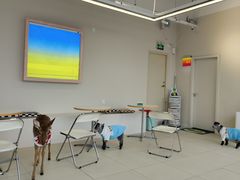 -怪兽屋·羊驼·猫咖·狗咖(俊华广场店)