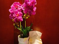 -木兰逸•泰式按摩•头疗•SPA(车公庙店)