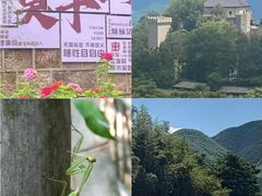 -莫干山风景区