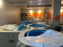 -童谣里医疗级月子中心(独栋湖景店)