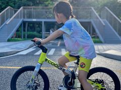 -景田北六街公园宠物主题园