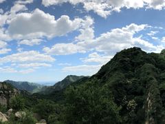 -大岭沟猕猴桃谷风景区