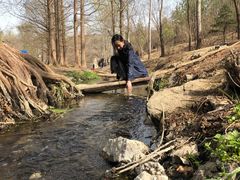 -白水寺森林公园