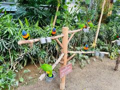 -南宫五洲植物乐园