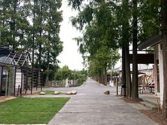 -前小桔亲子创意农场·草莓采摘·露营烧烤