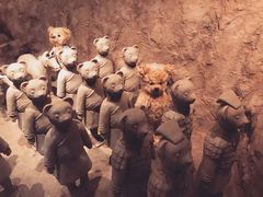 -济州岛泰迪熊博物馆