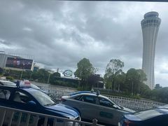 -胖哥家藏菜(护国路店)