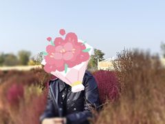 -天津东丽湖风景区