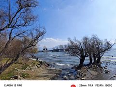 -洱海月湿地公园