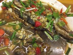 -菜当家