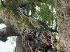 -新安江山水画廊风景区